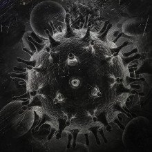 HIV:艺术家对病毒粒子的印象