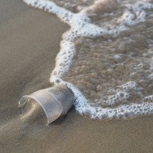 一张塑料杯在海浪中的照片