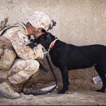 一个士兵亲吻一只黑狗的头