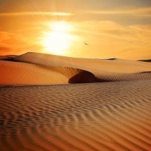 沙漠的日落