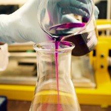 一位戴着手套的科学家将紫色液体从烧杯倒入锥形烧瓶中。