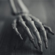 人的手臂和手的骨架