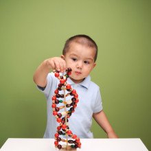 一个婴儿探索DNA模型