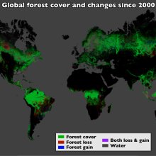利用地球资源卫星图像和云计算，研究人员绘制了全球森林覆盖以及森林损失和增长的地图。在12年的时间里，888,000平方英里(230万平方公里)的森林消失了，309,000平方英里(800,000平方公里)的森林消失了。