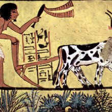 公元前1200年，Sennedjem墓室中描绘的耕田农民