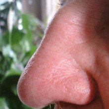 一名80岁的比利时男性的美丽鼻子侧面图。