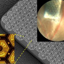 这个精确大小的光电芯片(右上角)被植入失明大鼠的视网膜下以恢复视力。中间的图像显示了芯片是如何由一组光电二极管组成的，它可以被脉冲近红外激活。