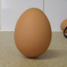 蛋是竖着的