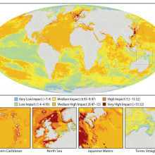 17种不同的人类活动对海洋生态系统的总体影响的全球地图。插图显示了世界上受影响最严重的三个地区，以及受影响最小的一个地区。图片由b.s. Halpern / Science提供