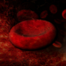 艺术家对红细胞的印象